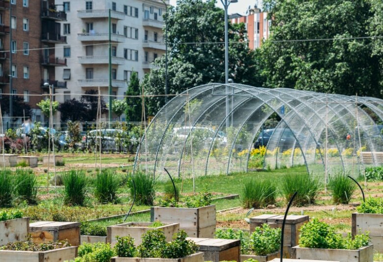 orti urbani
