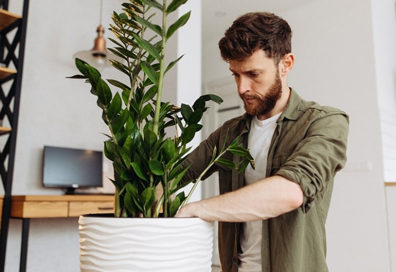 Come lasciare le tue piante prima di partire - A2A Energia