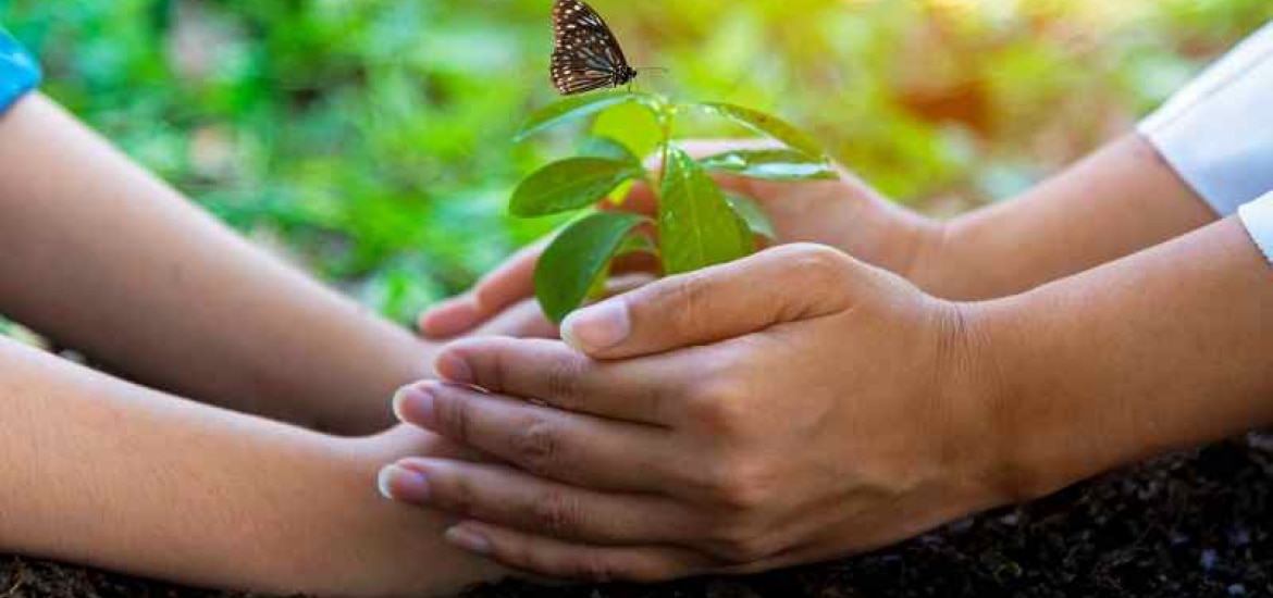 biodiversità