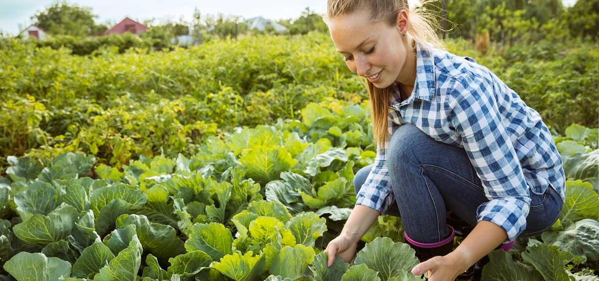 Che cos'è l'agricoltura biologica? - A2A