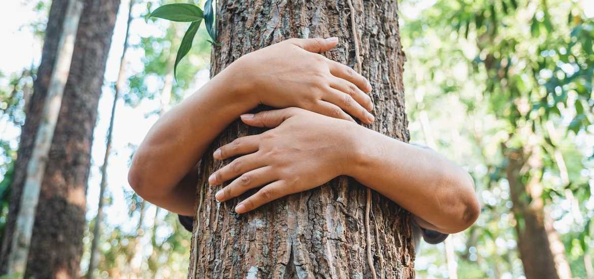 La tutela dell'ambiente entra in Costituzione - A2A