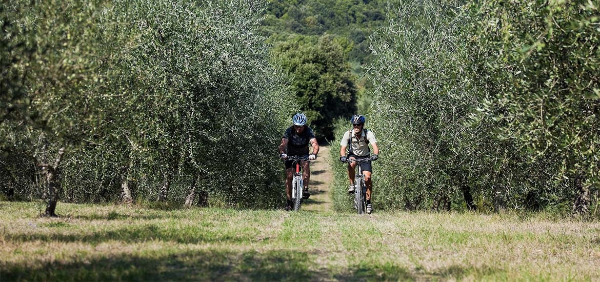 Sostenibilità regione Umbria - A2A