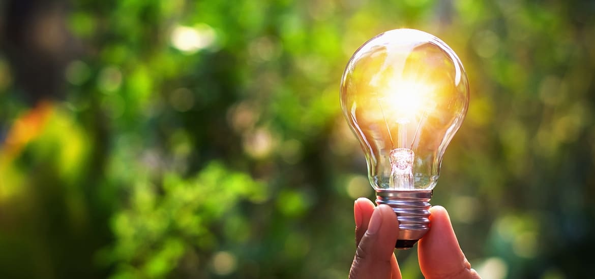 Bioenergia: cos'è, vantaggi - A2A