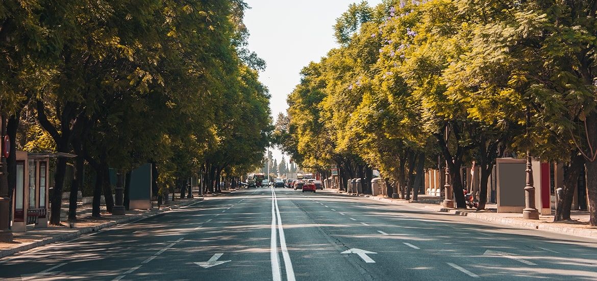Più alberi in città per combattere il caldo urbano - A2A Energia