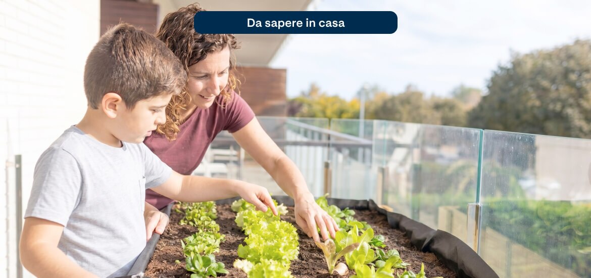 Orto sul balcone in estate - A2A Energia