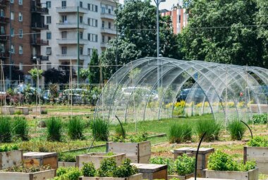 orti urbani