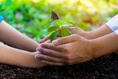 biodiversità