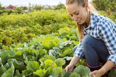 Che cos'è l'agricoltura biologica? - A2A