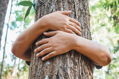 La tutela dell'ambiente entra in Costituzione - A2A
