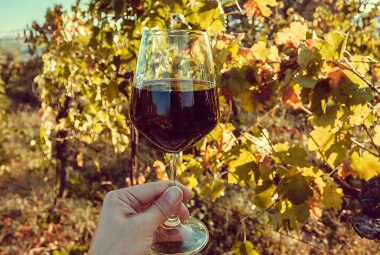 Vino sostenibile: cos'è - A2A