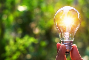 Bioenergia: cos'è, vantaggi - A2A