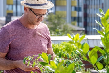 Orto in casa: come farlo – A2A Energia