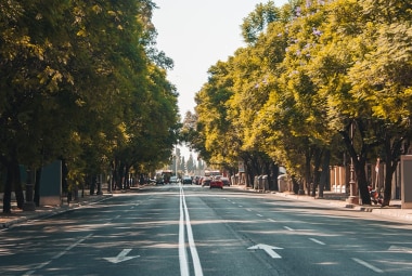Più alberi in città per combattere il caldo urbano - A2A Energia